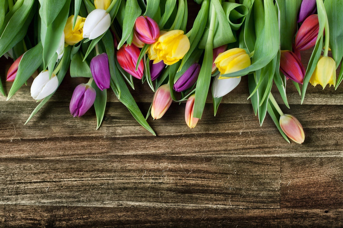 6 Ancient Secrets to Keep Allergies and Colds Away This Spring