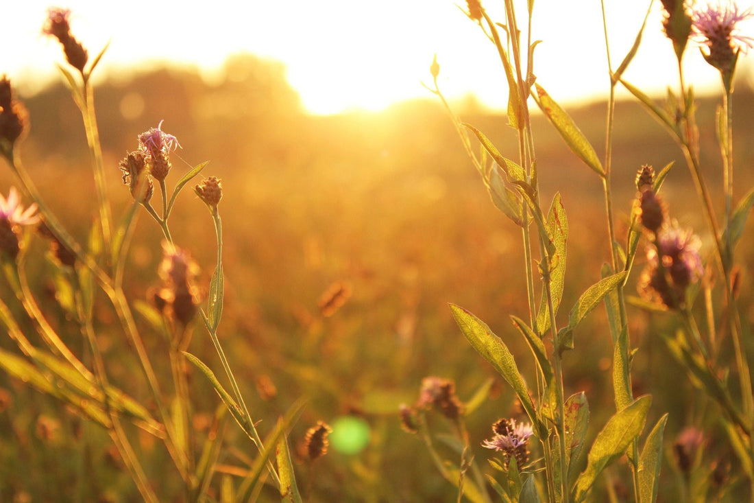 5 Morning Rituals For A Great Start To Your Day