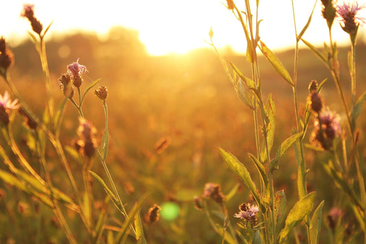 Are You Truly Independent? Three Ways To Understand Independence