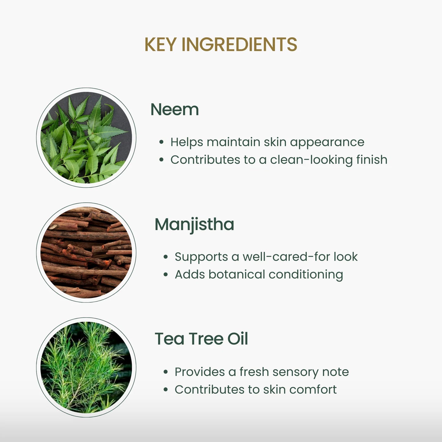 Nourishing Foot Oil